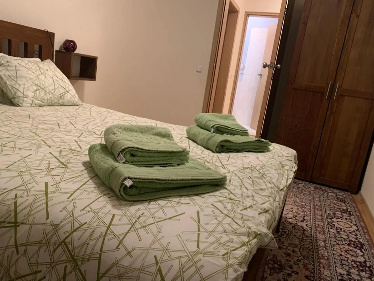 Bansko Ski To Door Apartment
